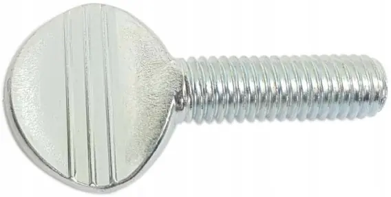 Zamów teraz Śruba kciukowa M10x25 ocynk AN 264 1 szt.